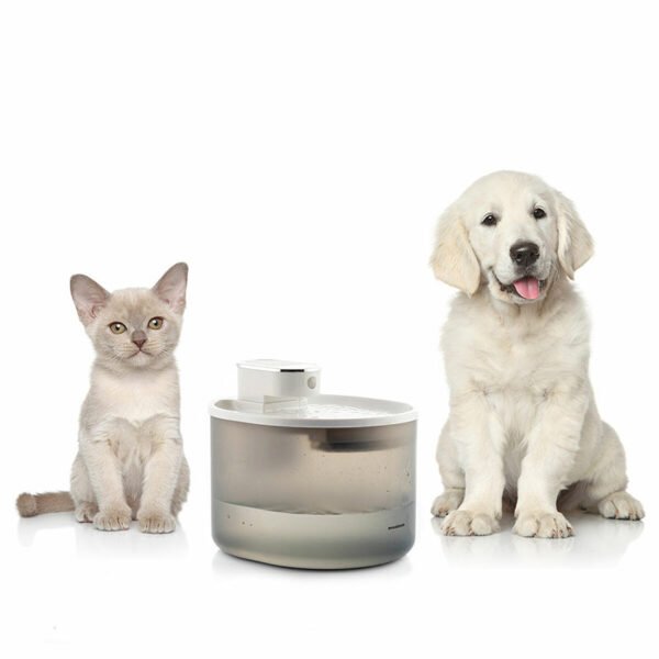 Fontaine pour Chats & Chiens Rechargeable avec Détecteur Refopet InnovaGoods