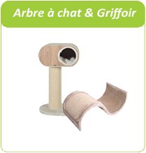 arbre à chat & griffoir pour chat