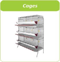 cages volailles et poules pondeuses