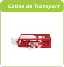 caisse de transport volailles