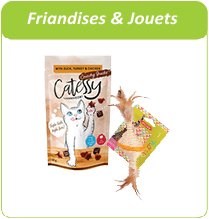 friandises et jouets pour chat