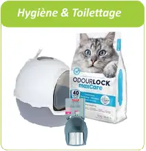 hygiène et toilettage