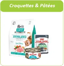 croquettes et pâtées